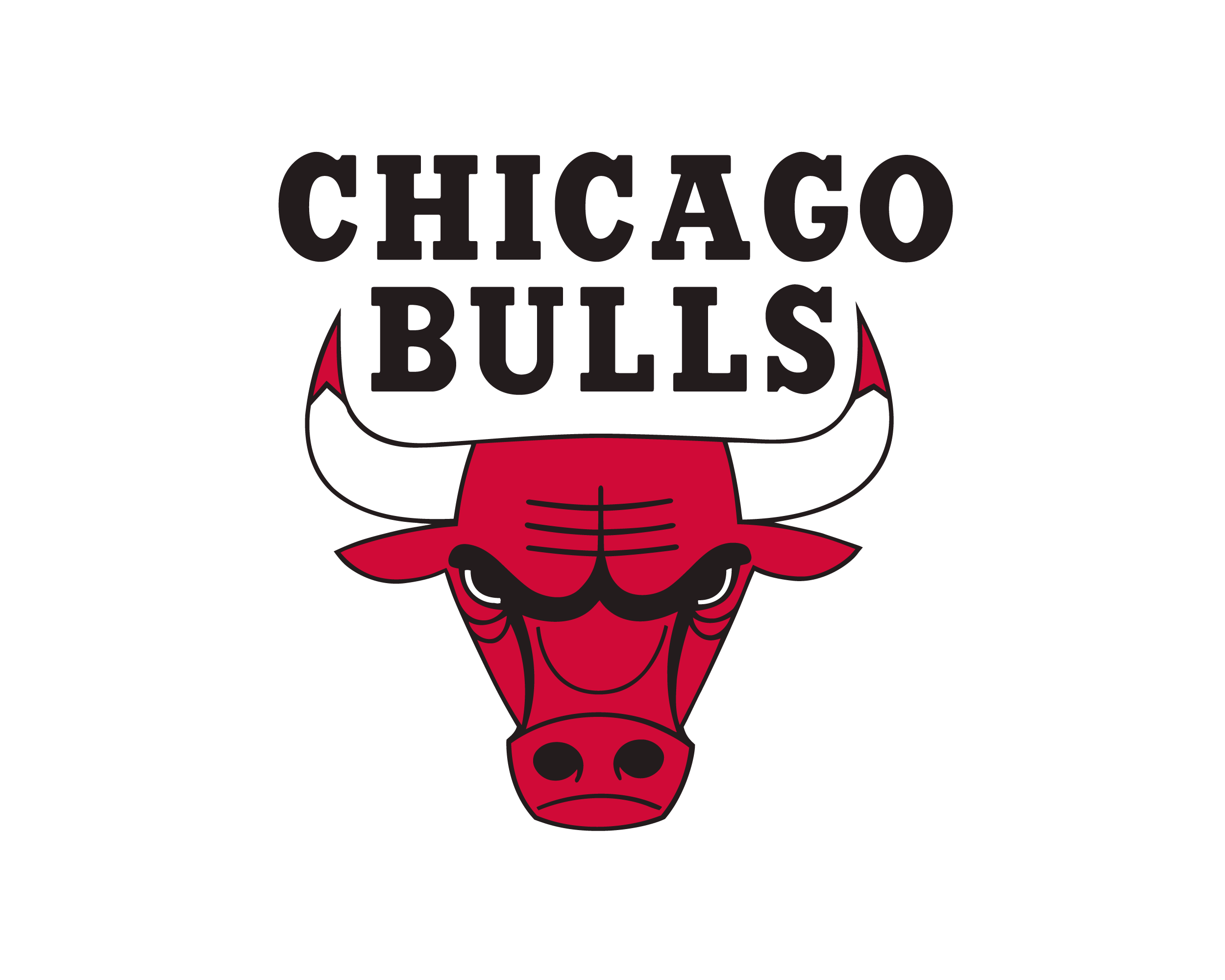 Chicago Bulls logo