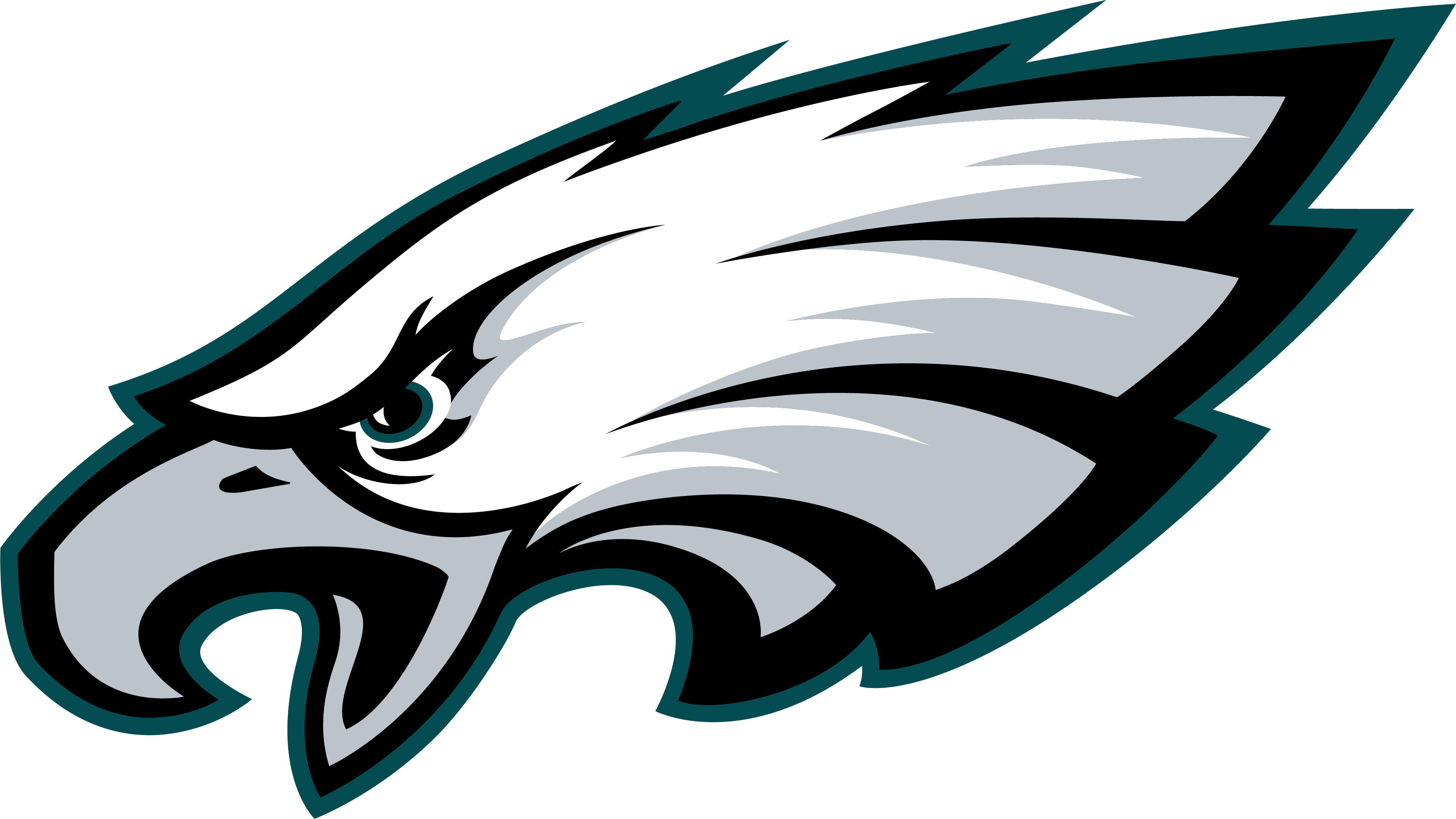 mask_NFL image
